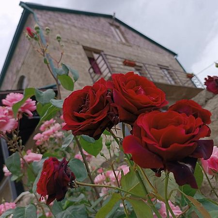 Bears And Berries Hotel Berd Exterior foto
