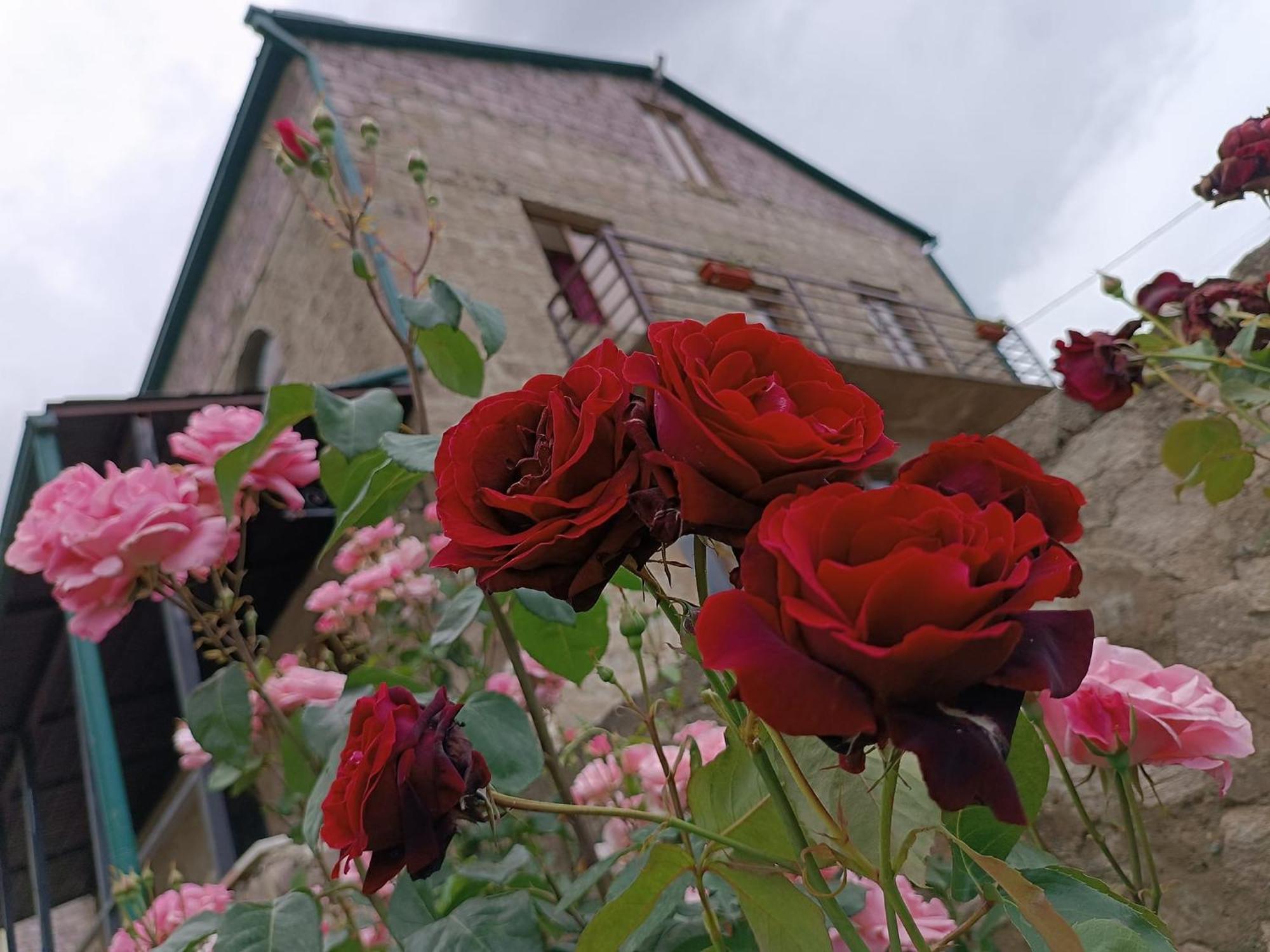 Bears And Berries Hotel Berd Exterior foto